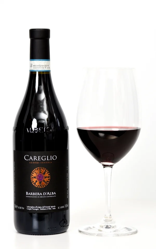 ﻿﻿Barbera d'Alba DOC
